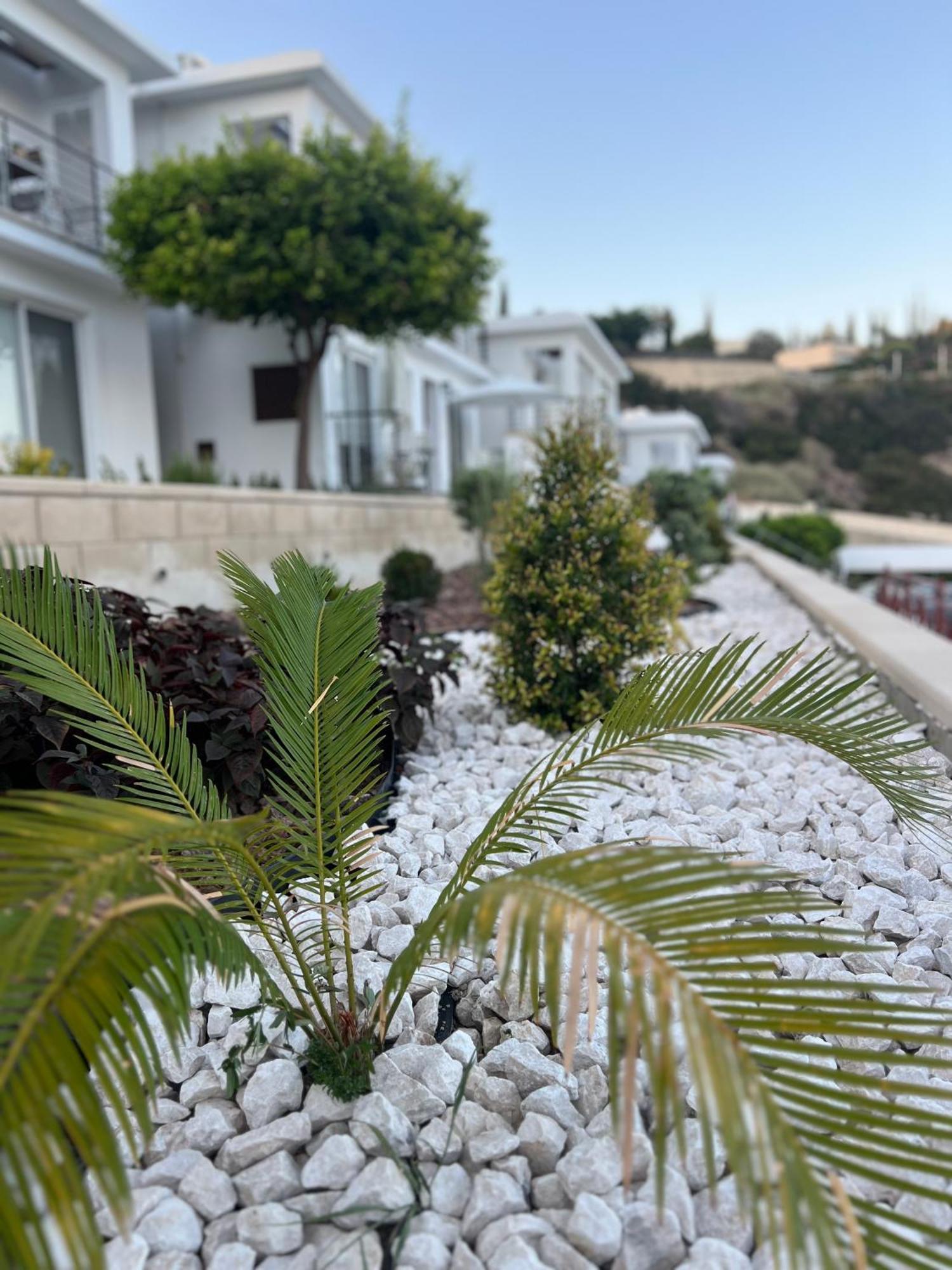Pissouri Image 아파트 외부 사진