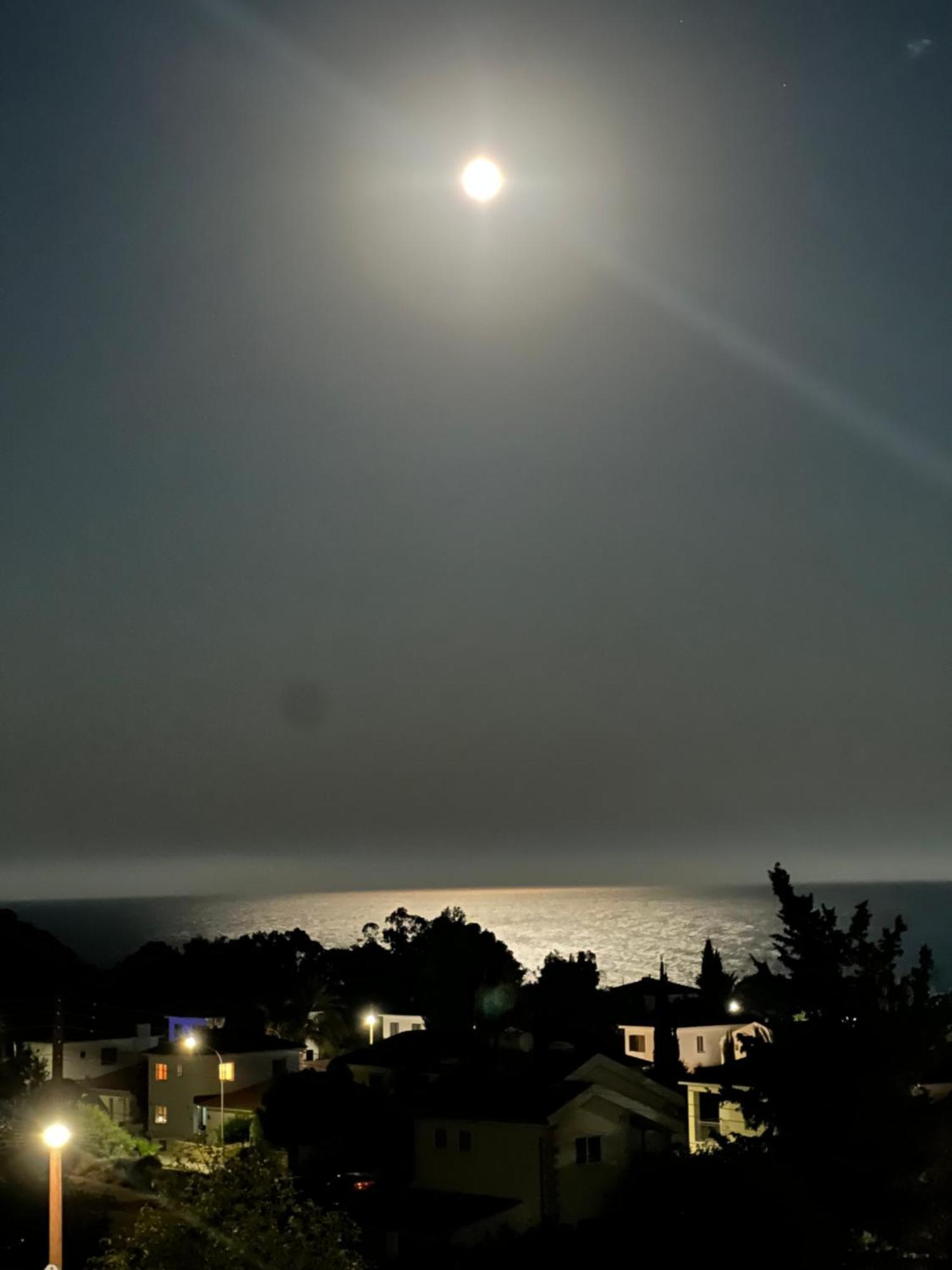 Pissouri Image 아파트 외부 사진